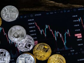 Crypto30x.com Gigachad