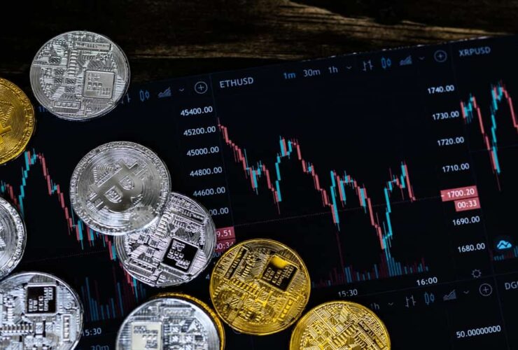 Crypto30x.com Gigachad