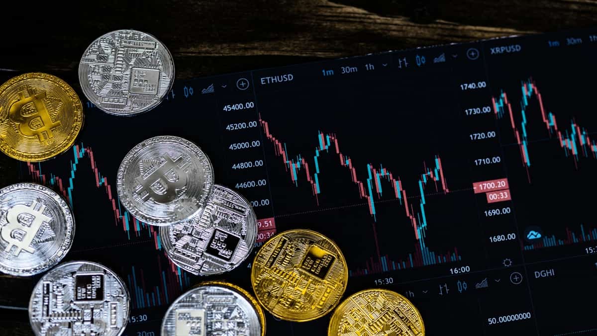 Crypto30x.com Gigachad