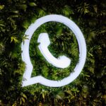 LogicalShout Updates WhatsApp