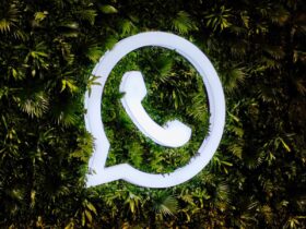 LogicalShout Updates WhatsApp
