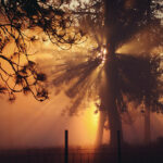 Photeeq Lens Flare
