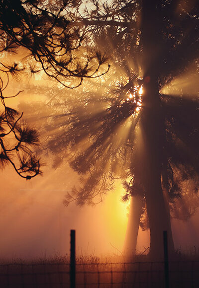 Photeeq Lens Flare