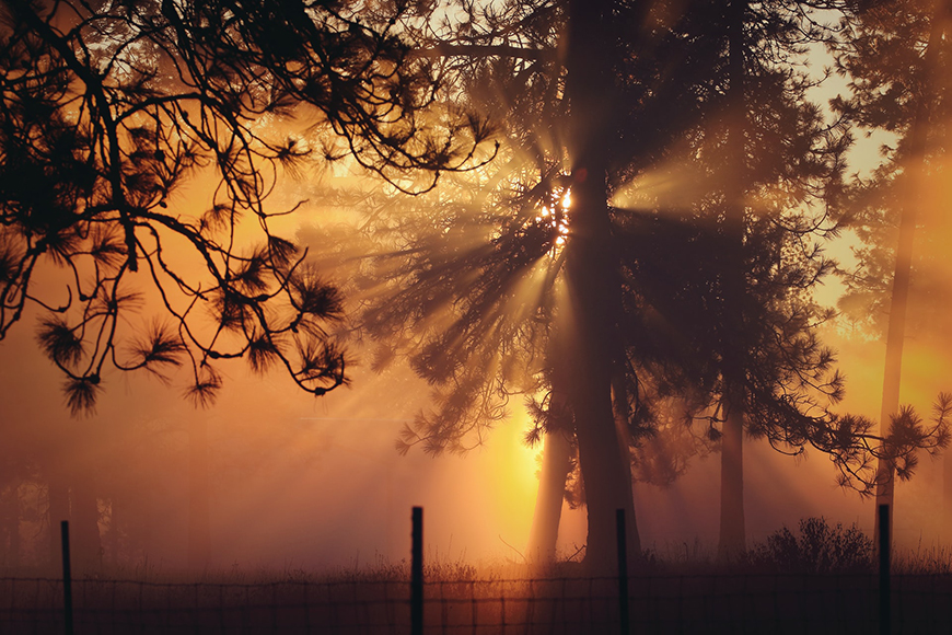 Photeeq Lens Flare