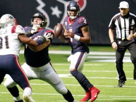 houston texans vs new england patriots match player stats