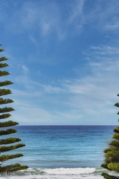 where is wacozumi sold