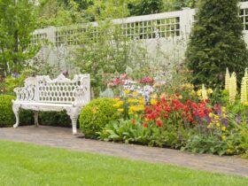 mywirelesscoupons garden