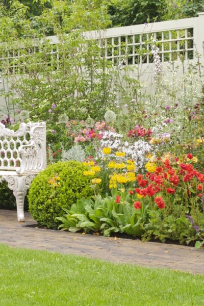 mywirelesscoupons garden